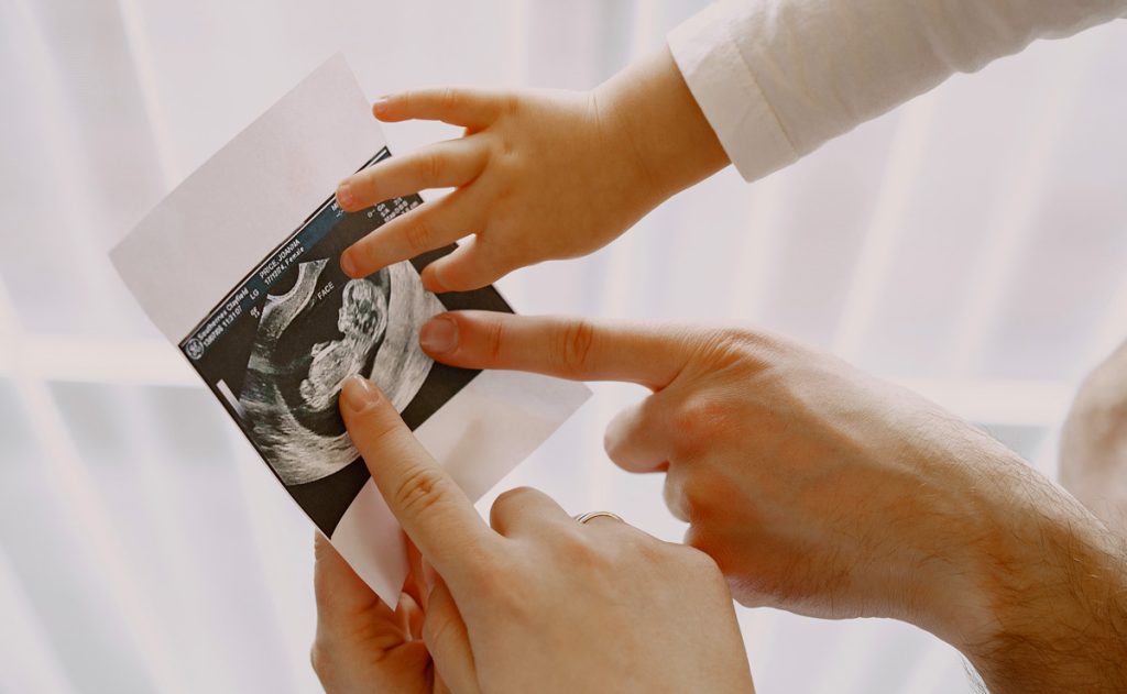 Un combattente come un leone