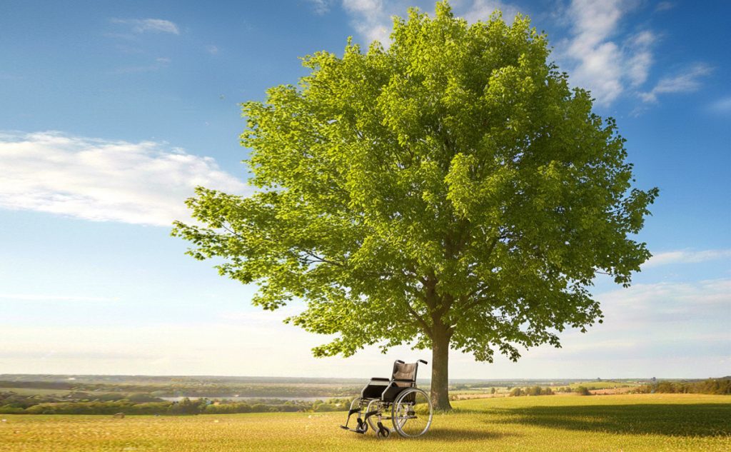 Una voce dalla carrozzina