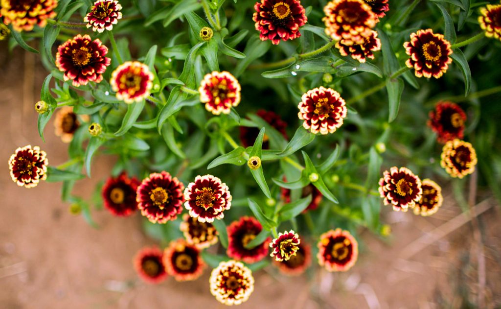 L’amore che non lascia andare