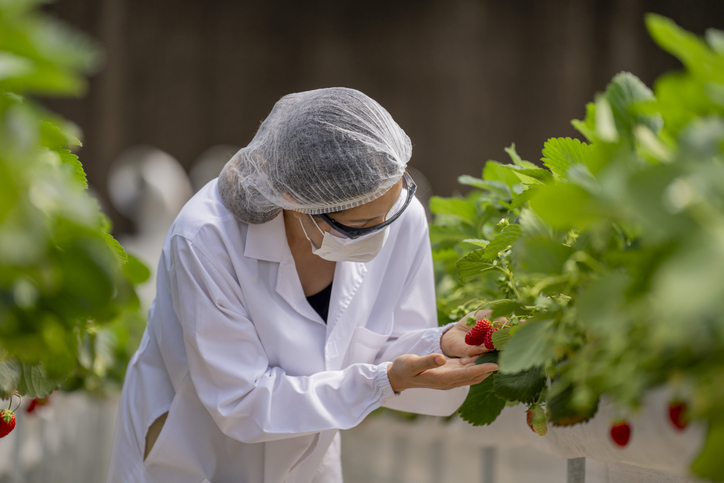 Più donne leader nelle imprese agricole