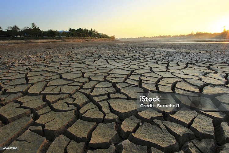 Serve un’azione globale