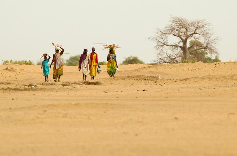 Orrore e indignazione per le atrocità perpetrate contro il popolo del Sudan