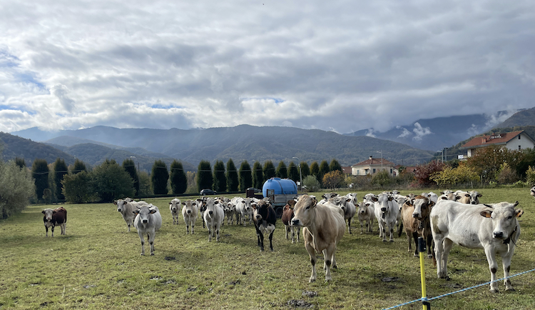 Agricoltura alle prese con il clima