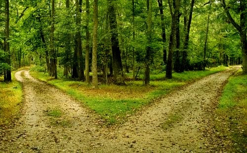 Culto evangelico, sommario puntata del 14 dicembre