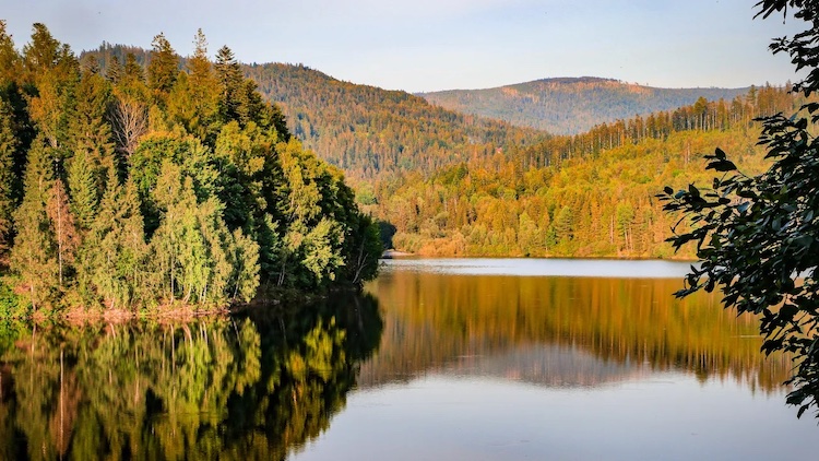 Verso una celebrazione liturgica comune della Festa del Creato